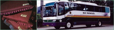 LORENA Chartered Bus